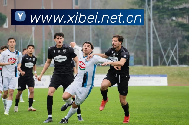 九游会·[j9]官方网站 | 游戏梦想的引导者服务体系